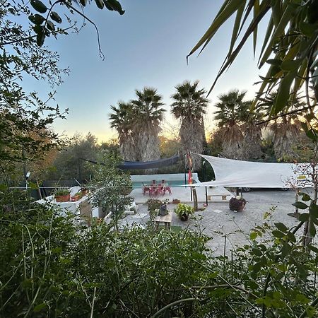 Loft Independiente "La Casita Del Olivo Centenario" コルドバ エクステリア 写真