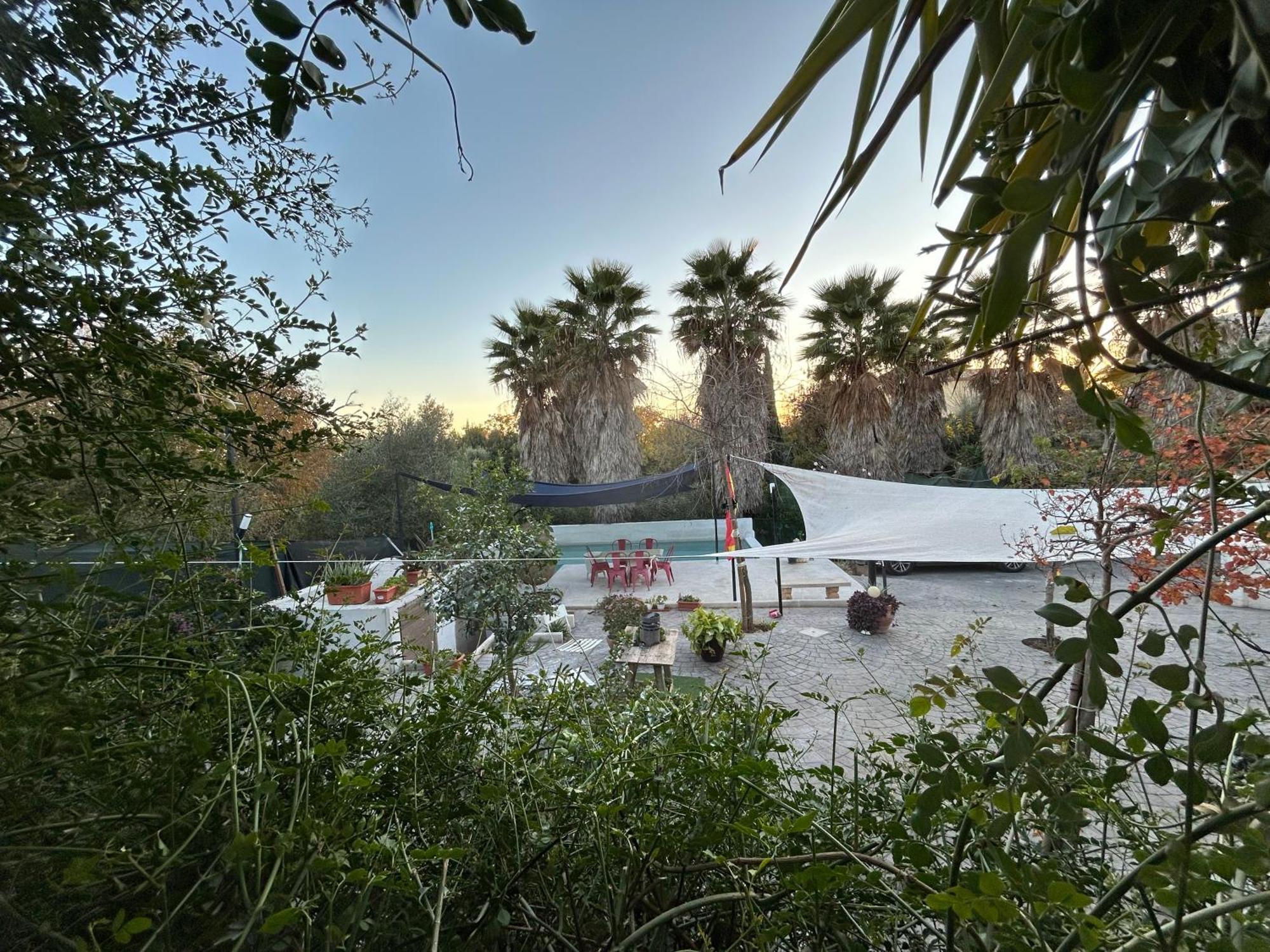 Loft Independiente "La Casita Del Olivo Centenario" コルドバ エクステリア 写真
