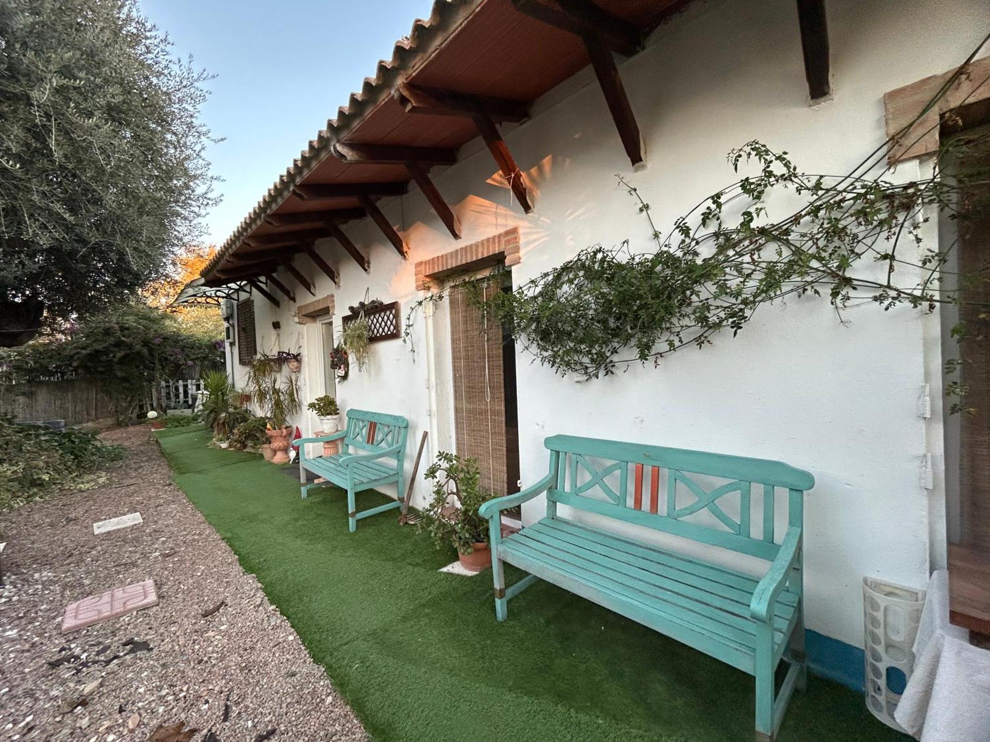 Loft Independiente "La Casita Del Olivo Centenario" コルドバ エクステリア 写真