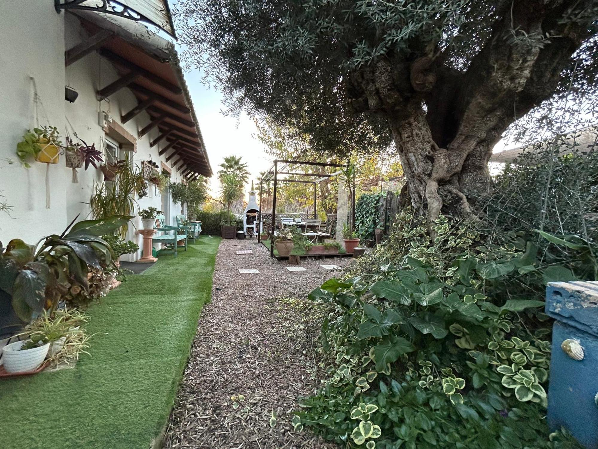 Loft Independiente "La Casita Del Olivo Centenario" コルドバ エクステリア 写真