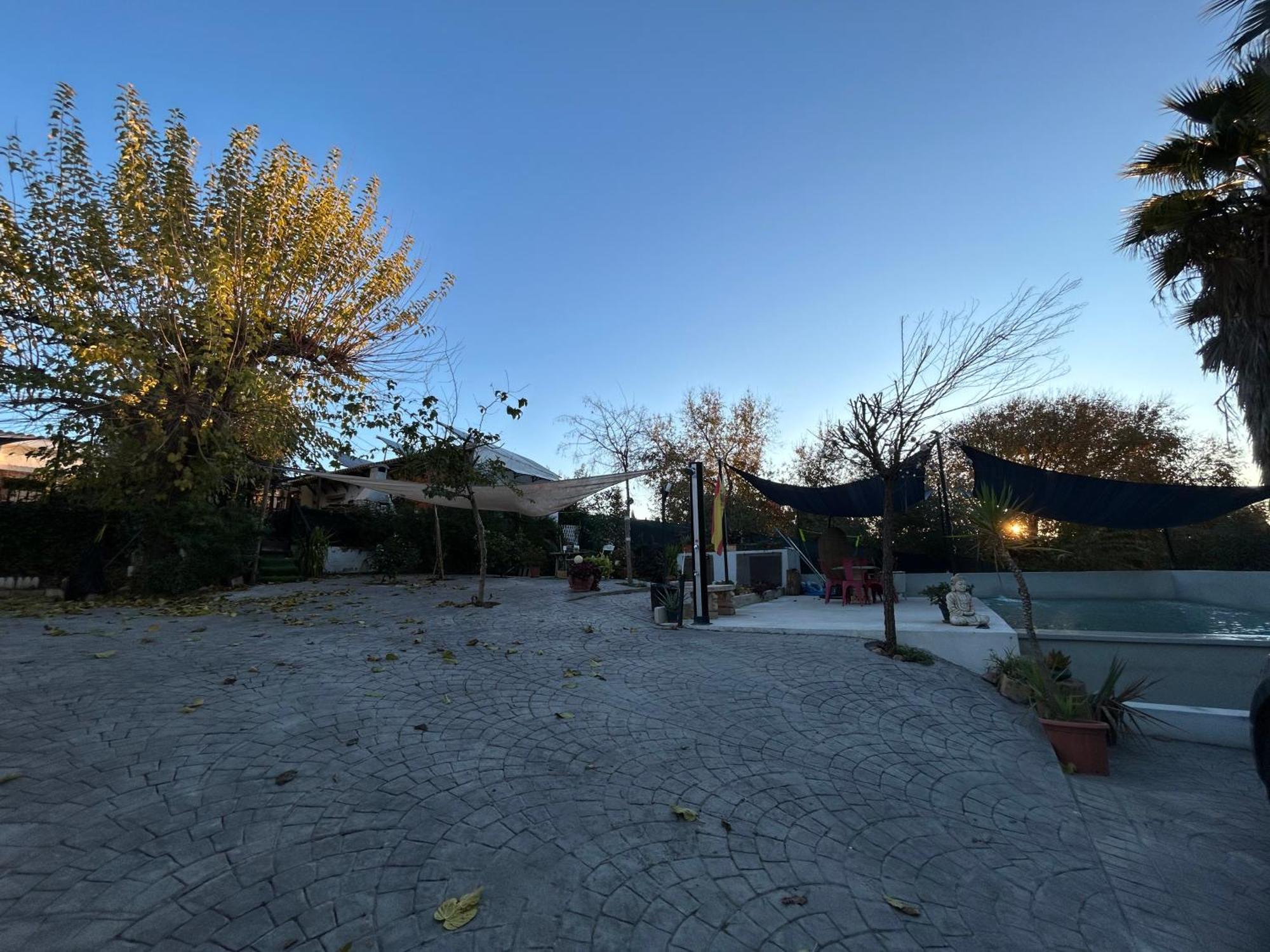Loft Independiente "La Casita Del Olivo Centenario" コルドバ エクステリア 写真